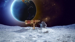 خرگوش های درخشان (گرگ بزرگ خاکستری)